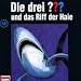 Die drei Fragezeichen - Folge 30: und das Riff der Haie