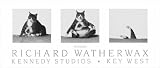 Fat Cat Capsizing by Richard Watherwax poster print,25 in. x 11 in.