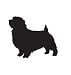 Terrier Dog Pet Norfolk Terrier Car Truck Vehicle Bumper Helmet Decal Sticker Wall Art Laptop Design Skin Stickers