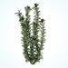 Cabomba Plastic Aquarium Plant - 20 X 10 X 17 - Green