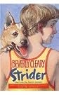 Strider
