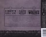 I Don't Love You