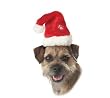 Dog Santa Hat - Beautiful Christmas Santa Claus Hat for Dogs - Medium
