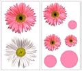 FLOWER POWER Pink & White - 25 Large Wall Stickers / Decals