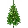 4' Himalayan Tree, 4' CLR BEACH SPRUCE TREE