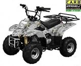 110cc ATA-110B ATV 110 Kids 4 Wheeler