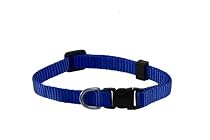 Small Solid Adjustable Pet Collar with EZ Snap Buckle, Blue