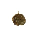 Petrified Wood Pendant 03 Wire Wrapped Gold Green Brown Stone Crystal Healing 1.5