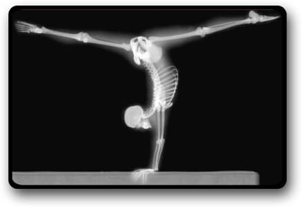 Gymnastics fabric Doormat decorative doormat