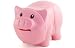 Hungry Piggy Bank