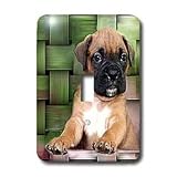 Dogs Boxer - Brindle Boxer Puppy - Light Switch Covers - single toggle switch