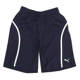Buy Puma Men Cat Mesh Short 804548