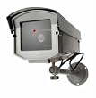 Dummy Camera in Outdoor Housing w/ Light