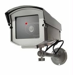 Dummy Camera in Outdoor Housing w/ Light