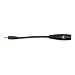 Planet Waves 3.5mm Mono To 1/4 Mono Female Pigtail