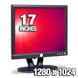 Dell E176FP 17" TFT LCD Flat Panel Monitor