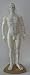 Acupuncture Body Model Doll with Stand - Male - 19 inches tall x 7 inches wide
