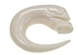 BONE PLUG WHITE SKULL 6g - Sold Individually