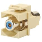 Wired Home KMN6K7 Keystone Module Blue RCA Coupler Ivory