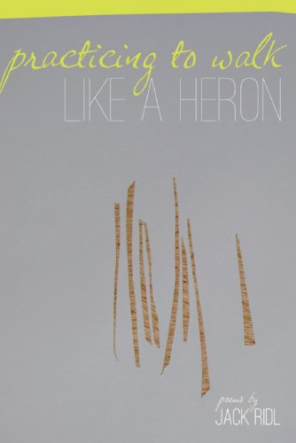 Practicing to Walk Like a Heron (Made in Michigan Writers Series)