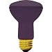 GE Lighting 22752 50-Watt BlackLight R20 Light Bulb, 1-Pack