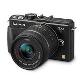 Panasonic Lumix DMC GX1K 16