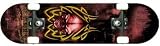 Complete Series B Renner Skateboard -Tribal Skulls