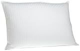 Review Pike Street 422417 / Pike Street 280-Thread Count Damask Stripe Cotton Down Standard Pillow