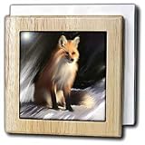 Review 3dRose LLC  / Fox - 6 Inch Tile Napkin Holder