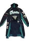 Reebok Miami Dolphins Ash Stacked Hoody Sweatshirt