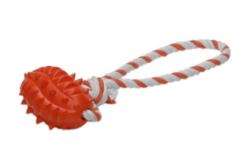 Nobby 79028 Ovaler Ball mit Seil Preisvergleich