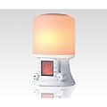 Wake Up Light Lichtwecker mit Radio, LED-Lichteffekten und Naturkl�ngen