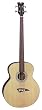 Dean Acoustic-Electric Bass Fretless Satin Finish