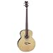 Dean Acoustic-Electric Bass Fretless Satin Finish