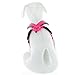 Pawtitas Reflective Dog Harness - Padded, Comfort Control for Walks or Running - Medium Pink