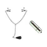 SAVE $74.00 - California Exotics / Swedish Erotica Weighted Nipple Clamps Body Adornments Adult Sex Toy Kit $13.99