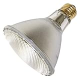 GE 16393 75-Watt PAR30L Edison Halogen Floodlight