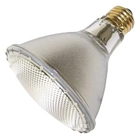 GE 16393 75-Watt PAR30L Edison Halogen Floodlight