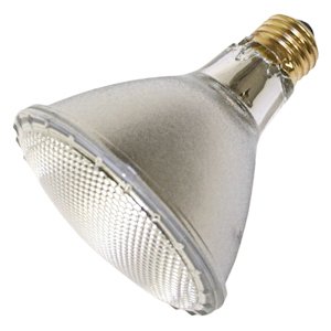 GE 16393 75-Watt PAR30L Edison Halogen Floodlight