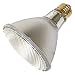 GE 16393 75-Watt PAR30L Edison Halogen Floodlight