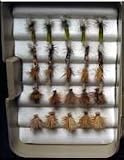 36 PCS Caddis Assortment