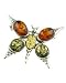 Multi Amber Butterfly Pin