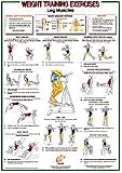 Leg Muscles Chart