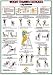 Leg Muscles Chart