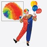 Rainbow Clown Wig