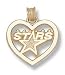 Jewelry : Dallas Stars Logo Heart Charm -14K/10K, Stainless Steel or Gold Plated