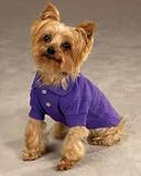 Preppy Puppy Purple Violet Dog Polo Shirt at THE REGAL DOG - Size MEDIUM M