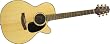 Takamine G440C Acoustic Guitar