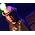 Thumbnail image of Neil Young