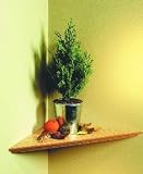 CORNER SHELF 12